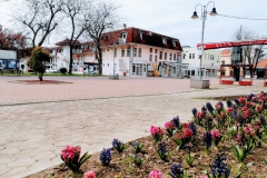 Akcija "Za ljepši Šamac"